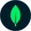 MongoDB