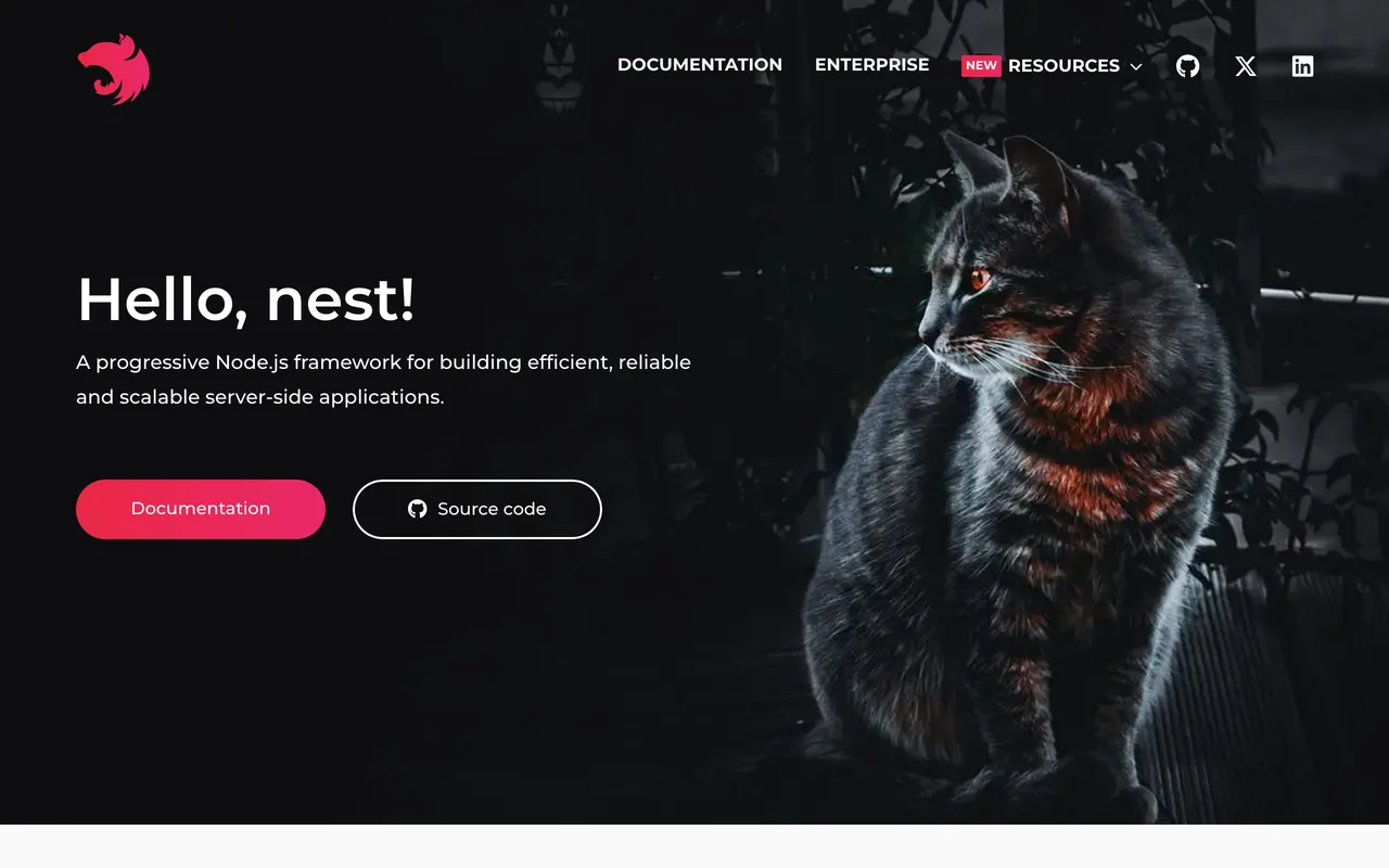 NestJS screenshot