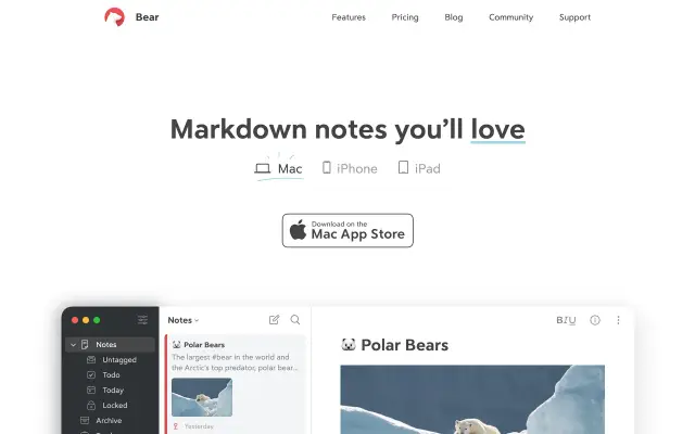 Bear preview