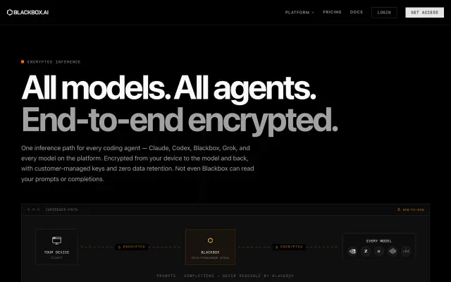 BLACKBOX AI preview