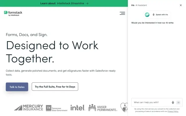 Formstack preview