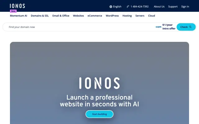 IONOS preview