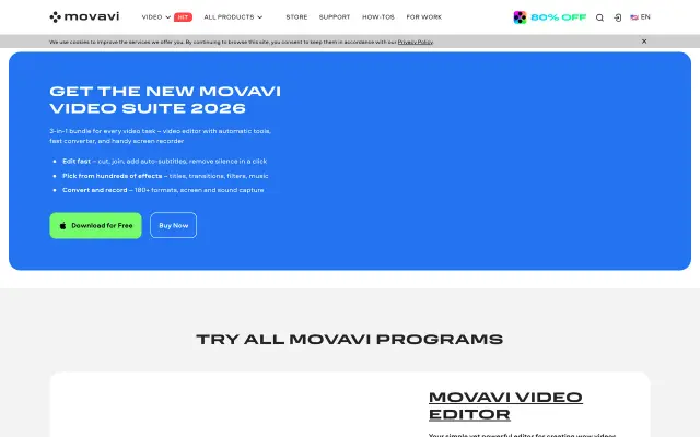 Movavi Video Editor preview