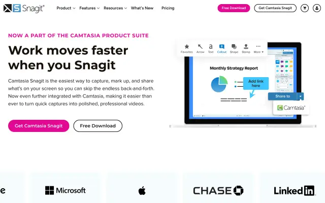 Snagit preview