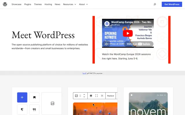 WordPress preview